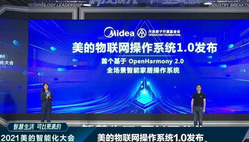 雪中送炭 4800億巨頭接入鴻蒙，華為網(wǎng)絡技術開發(fā)的堅守終見曙光